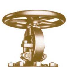 Globe Valve