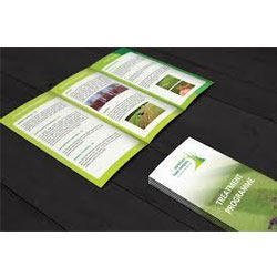 Brochure Printing Services By shyam printers