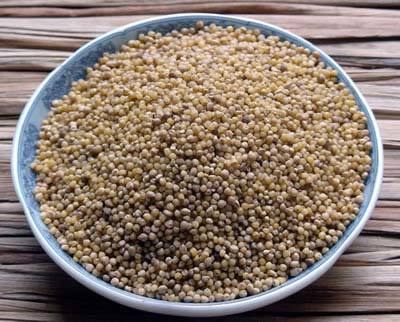 Foxtail Millet Seeds