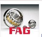 Fag Bearings