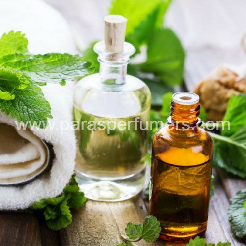 Mentha Pipereta Oil Odour:: Fresh Minty Taste And Cooling Sensation