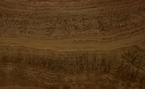 Mexican Brown Marble