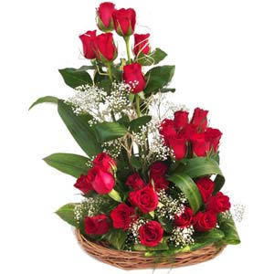 Attractive Red Roses