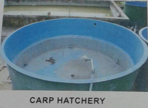 Carp Hatchery