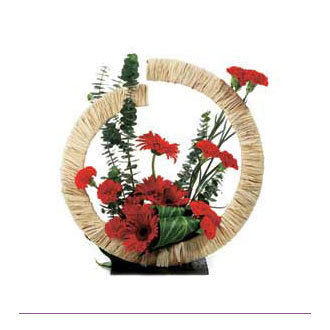Red Gebras and Carnations arranged Ring O Wishes