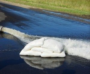 Eco Style Flood Bags