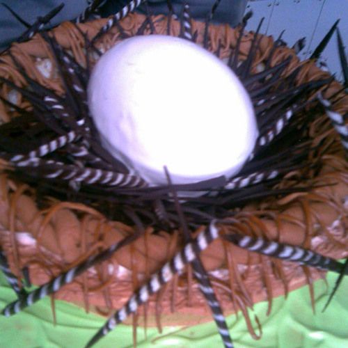 EggNest Cake