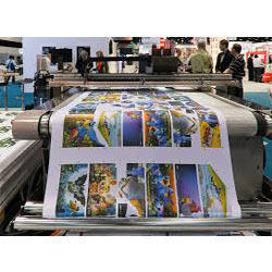 Large Format Digital Printing Machine Gender: Women