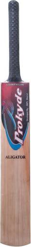 Prokyde Aligator Kashmir Willow Cricket Bat - Full Size