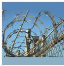 Razor Concertina Wire