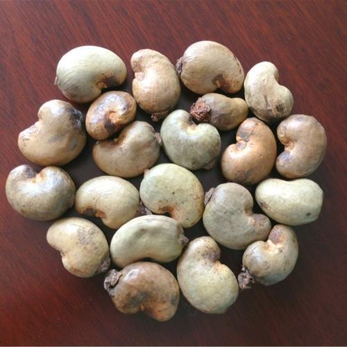 Cambodia Cashew Nut