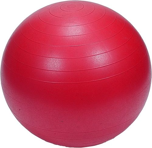 Prokyde Gym Ball 65 cm