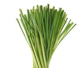 Lemongrass