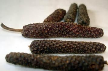 Long Pepper