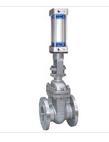 Pneumatic Operated Gate Valves