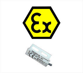 Atex Reed Sensor