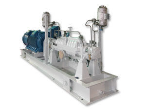 Multi Stage Process Pump