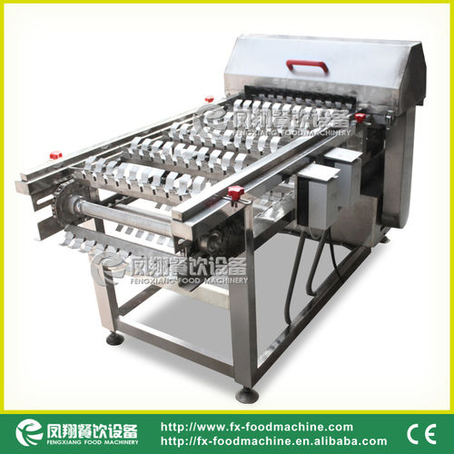 Automatic Maize Cutting Machine Capacity: 500-800 Kg/Hr