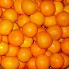 Fresh Orange