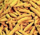 Turmeric Finger - Superior Quality Dried Spices, Rigorous Processing and Testing, Incredible Shelf Life, Packaged in Eco-Friendly Jute Bags