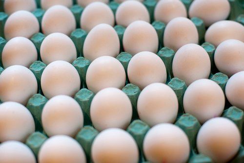 Healthy And Nutritious Eggs Egg Origin: Chicken