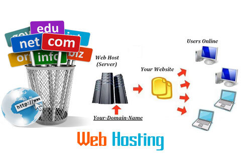 Web Hosting and Design Services