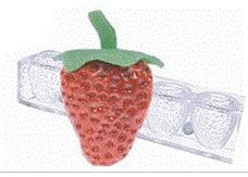 Double Strawberry Mold