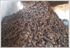 Pine Needle Based Biomass Briquettes