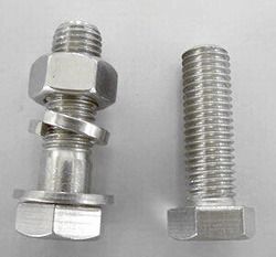 SS 316 Bolt Nut & Washer