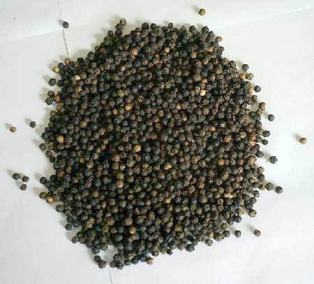 Black Pepper