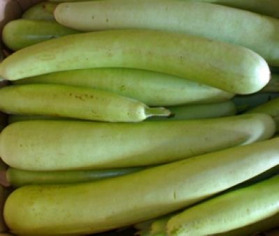 Metal Bottle Gourd