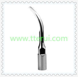 Dental Scaler - Stainless Steel | Superior Quality for Diverse Dental Treatments and Surgery