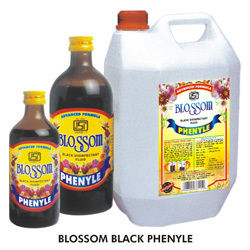 Black Phenyle