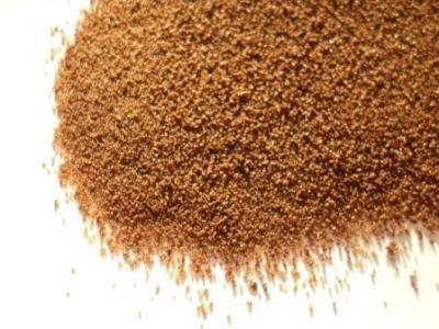 Spray Dried Chicory Powder