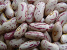 Light Speckled Kidney Beans - Huge Kidney-Shaped, Rich Taste and Freshness Guaranteed