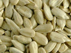 Sunflower Seed Kernels - Premium Quality, Raw Or Roasted Snacking Option, Versatile Ingredient