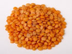 Whole Red Lentil