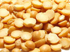 Yellow Peas Slit