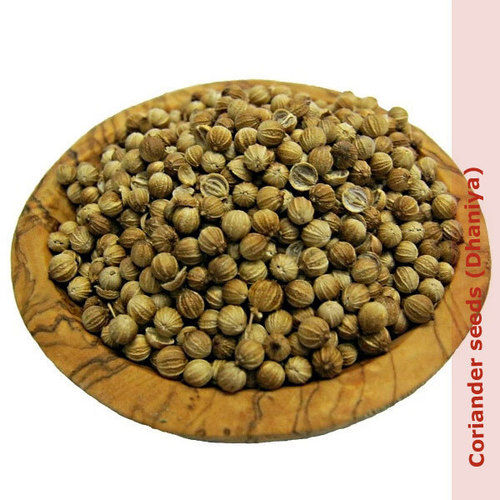 Coriander Seeds