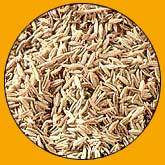 Cumin Seeds Application: Profesional