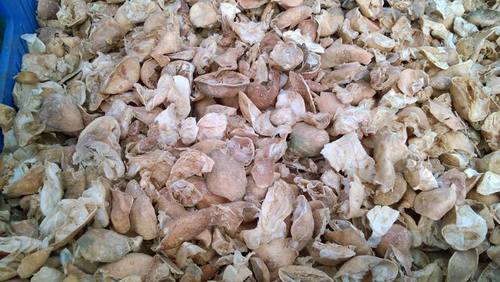 Dry Lime Peels