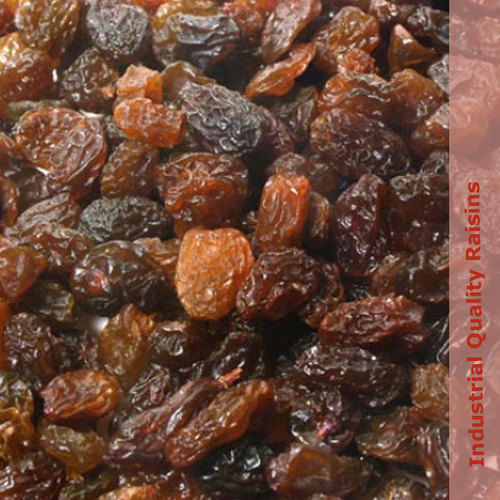 Industrial Quality Raisin