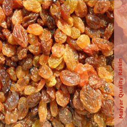 Malayar Quality Raisin