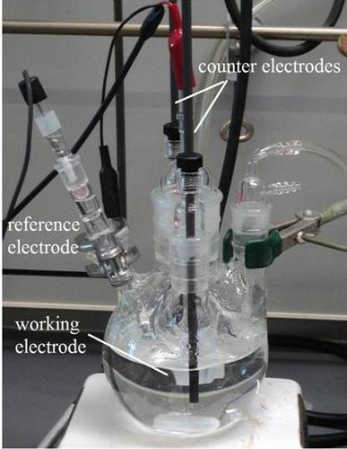 Corrosion Setup