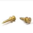 Brass Electrical Screws