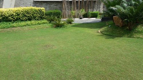 GREEN Landscaping Services By GREEN LAND