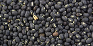 Black Matpe Urad Dal