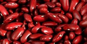 Kidney Bean