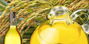 Rice Bran Oil