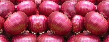 Fresh Red Onion Vegetable